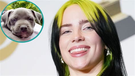 Watch Access Hollywood Interview Billie Eilish Adopts Pit Bull Puppy