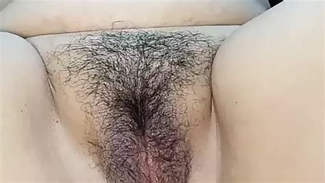 BBW Brasilianischer Blowjob Dicker Hintern XHamster