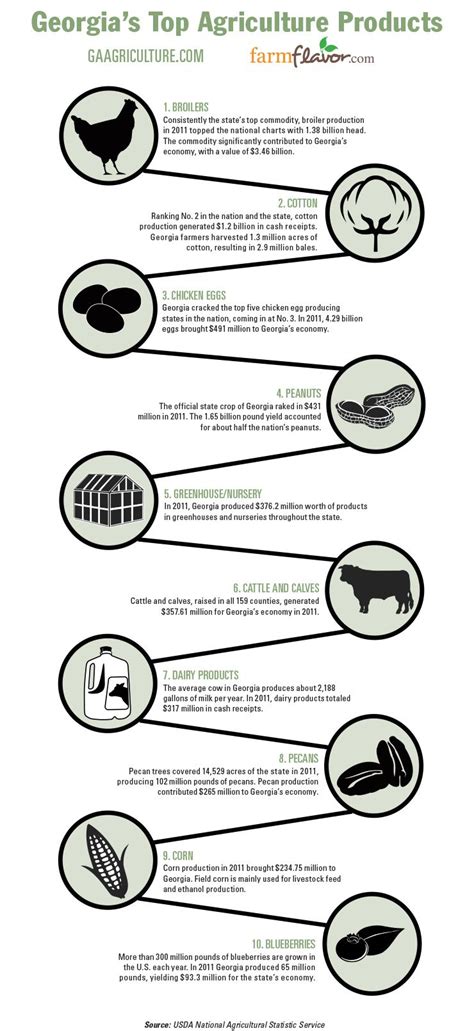 Georgias Top Ten Ag Commodities Infographic Agriculture Education