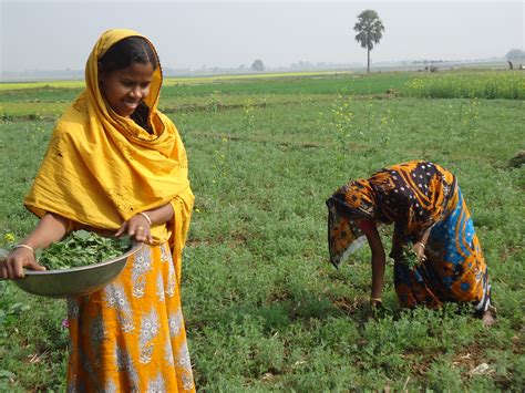 one of the two women farmers clearing a leased farm-land in nachol