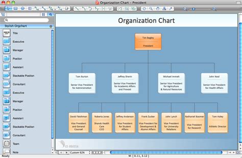 Organizational Structure Diagram Flowchart