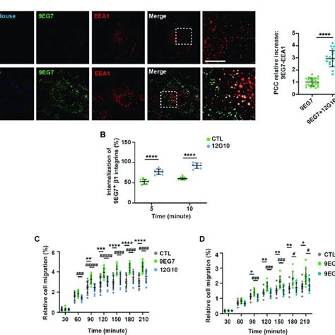 Anti I Domain Mab G Promotes Eg Active Integrin Endocytosis