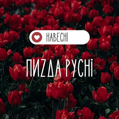 Хвылювалочка - Советчица