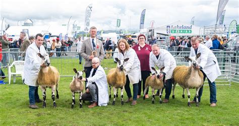 Balmoral Show 2023 | Bluefaced Leicester Sheep Breeders' Association