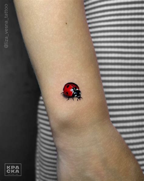 25 Lovely Ladybug Tattoo Ideas For Men Women In 2023