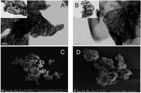 Representative transmission and scanning electron micrographs detailing ... 