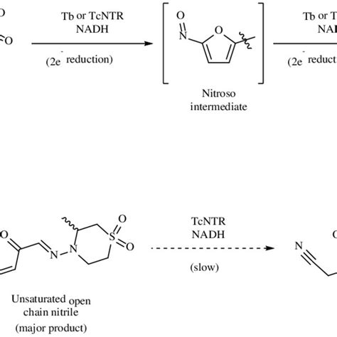 Metabolites of delamanid formed in vivo | Download Scientific Diagram