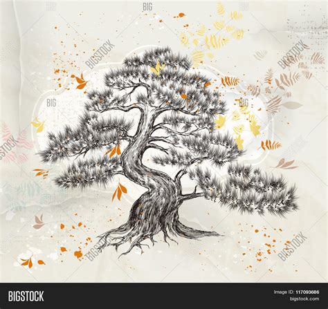 Hand Drawn Vector Vector & Photo (Free Trial) | Bigstock