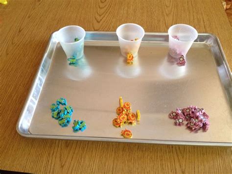 preschool sorting activity