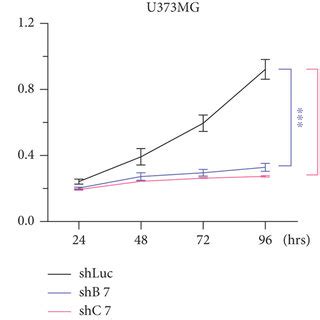 Loss Of Cebpd Attenuates Cell Viability And Induces Cell Apoptosis In