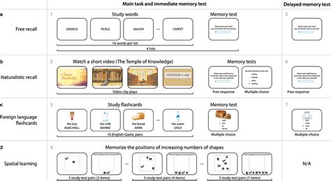 Battery Of Memory Tasks A Free Recall Participants Study Words