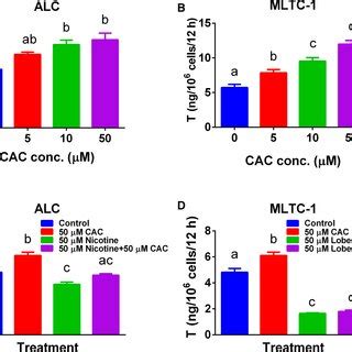 Effect Of Cisatracurium Cac On Testosterone Synthesis When Different