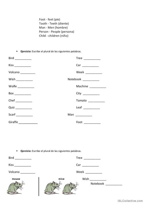 Plural Nouns Français FLE fiches pedagogiques pdf doc