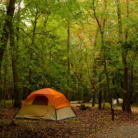 Camping at Greenbelt Park, Maryland: A National Park Getaway Close to ...