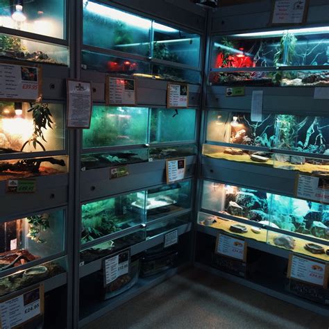 An Aquarium Filled With Lots Of Different Types Of Fish In It S Display