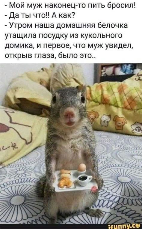 Веселые истории о нас № 19 - Ветер Вольный — КОНТ