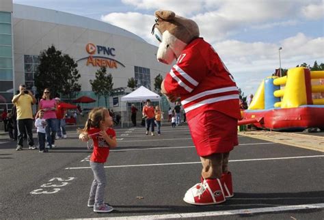 Why is the Carolina Hurricanes mascot a pig? We have the whole Stormy story