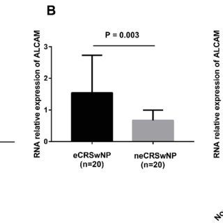 The Alcam Protein Expression In The Tissue Based On Ihc Representative