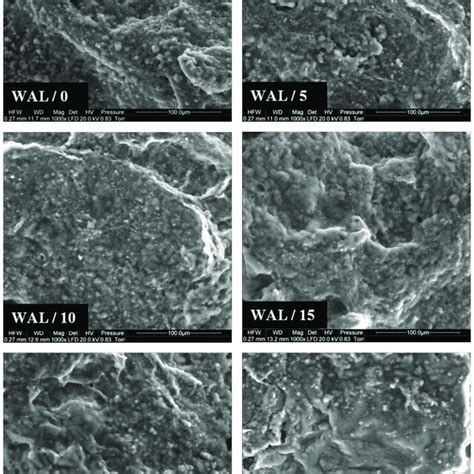 Selected Scanning Electron Micrographs Of The Liver Sausages