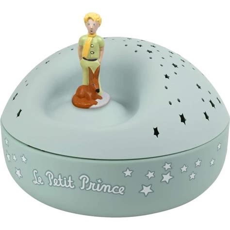 Le Petit Prince Saint Exup Ry Veilleuse Id Al Cadeau Cadeau Enfant