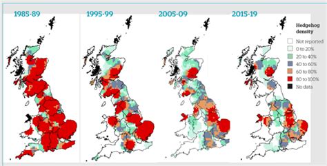 Decline in UK hedgehog population over 30 years » 21st Century Thame