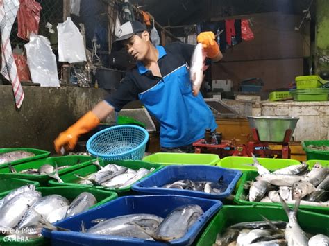 Harga Ikan Di Kediri Naik Imbas Cuaca Ekstrem Tagar