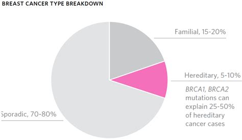 Breast Cancer Risk Factors Risk Assessment Program