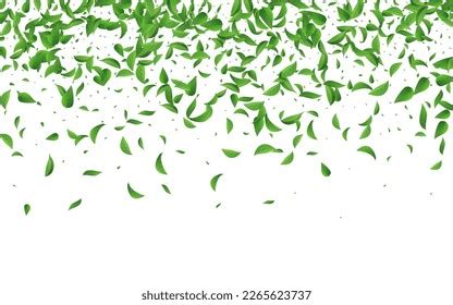 Swamp Greens Flying Vector White Background Stock Vector Royalty Free