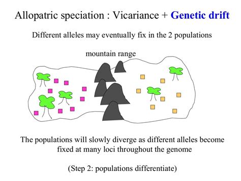 Bio413 07 sympatric_speciation_species concepts_allopatric_speciation…