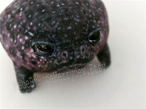 New Rain Frogs Grumpy Frog Mini Plushie Stuffed Animals Etsy