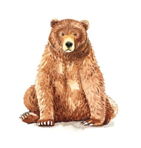 Watercolor Portrait Of Brown Bear Sitting Vector Art At Vecteezy