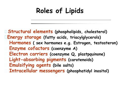 Ppt Lipid Powerpoint Presentation Free Download Id9640334