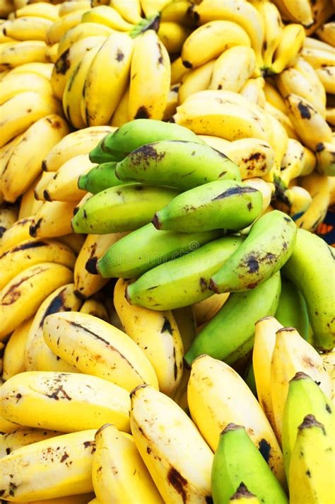 246 African Bananas Fruits Photos Free And Royalty Free Stock Photos