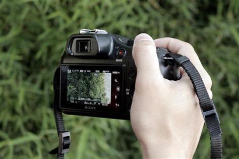 Sony Alpha A3500: отзывы, обзор