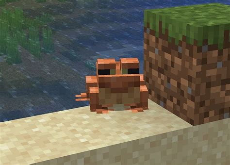 Frogs in Minecraft