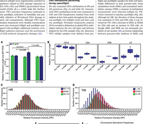 Telomere Length Dynamics And DNA Damage Responses A Relative Average