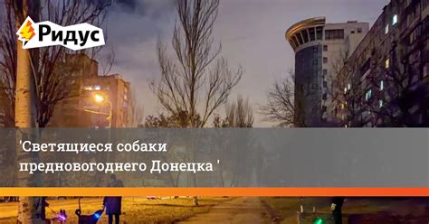 Светящиеся собаки предновогоднего Донецка