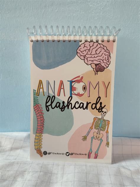 Anatomy Flashcards, Hobbies & Toys, Books & Magazines, Textbooks on ...