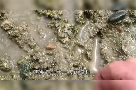 世界上最孤独的金矿，随处都能挖到黄金，为何没有人愿意待？黄金世界