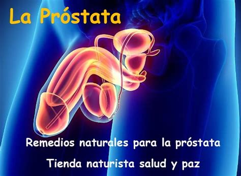 Remedios Naturales Para La Pr Stata Tienda Naturista Salud Y Paz