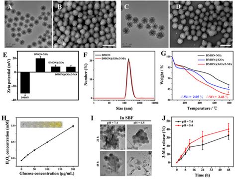 Biomolecules Special Issue Recent Advances In Nanoparticle Based