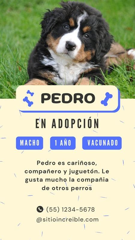 Plantillas De Afiches De Adopción De Mascotas Online Gratis Canva