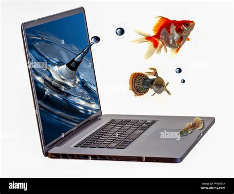 Animated fish hi-res stock photography and images - Alamy