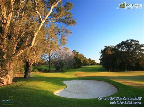 Concord Golf Club Concord New South Wales 2137 Golfselect