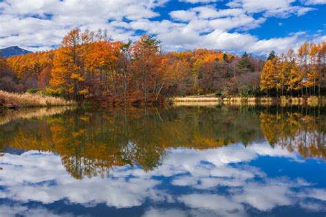 Autumn Leaves Viewing Japan Photo Tour - Blain Harasymiw Photography