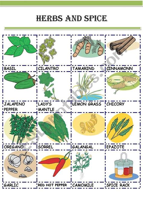 An Image Of Herbs And Spice Worksheet With Pictures On The Front Page