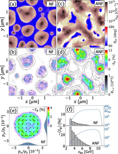 Electron Polarization In Ultrarelativistic Plasma Current Filamentation