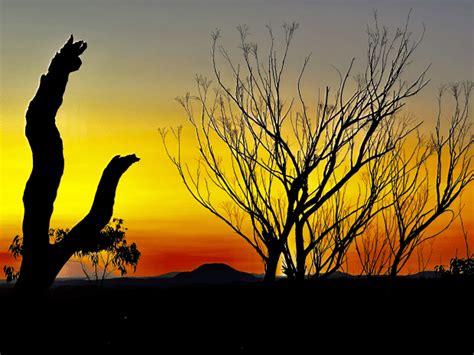 An Indigenous Landscape - The Landscape Awards