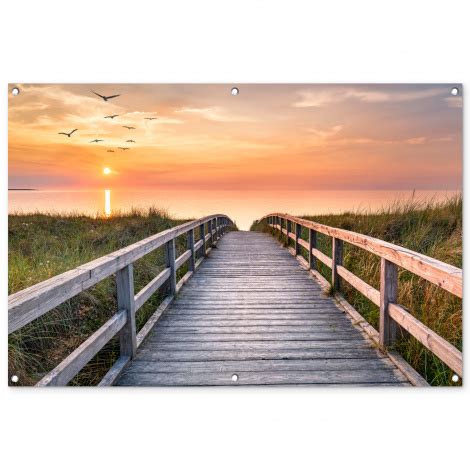 Tuinposter Zonsonderang Zee Pad Gras Duin Vogels Liggend