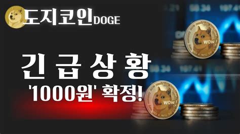 🔴live 도지코인 긴 급 상 황 오늘 밤 1000원 무조건 간다 최소 9배 수익확정 도지코인 도지코인전망